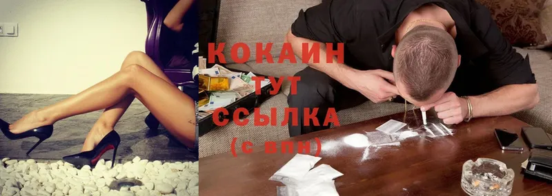 купить наркотик  Буйнакск  Cocaine FishScale 