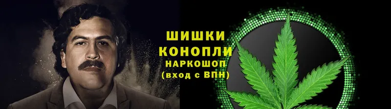 Конопля план  купить закладку  shop формула  Буйнакск 